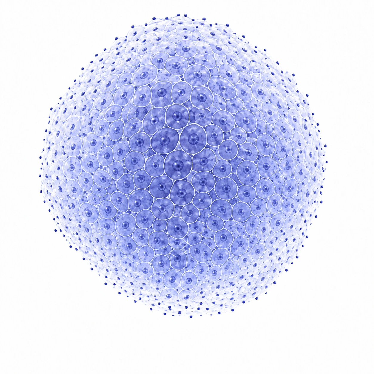 Dense mass without visible new vessels.